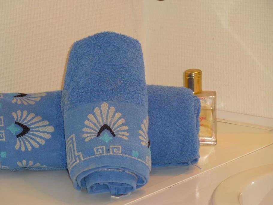 Chambre Chez L'Habitant - Proche Du Centre - Salle D'Eau Et Wc Prives Bordeaux Esterno foto